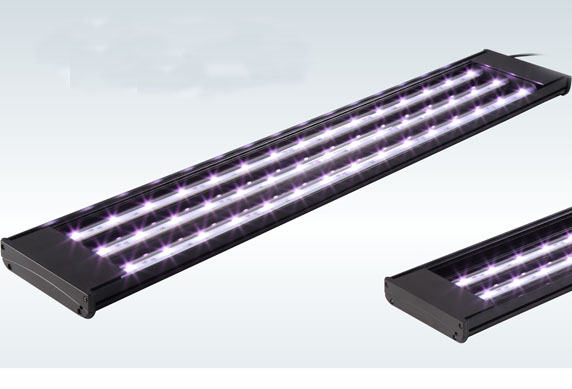 MAGIC LED FIXTURE