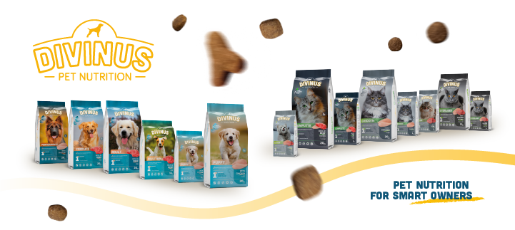 DIVINUS Complete Range of Products