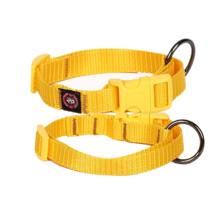 Nylon Dog Collars